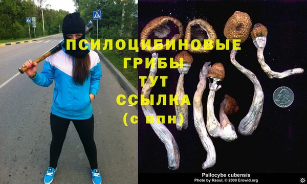 а пвп мука Нефтегорск