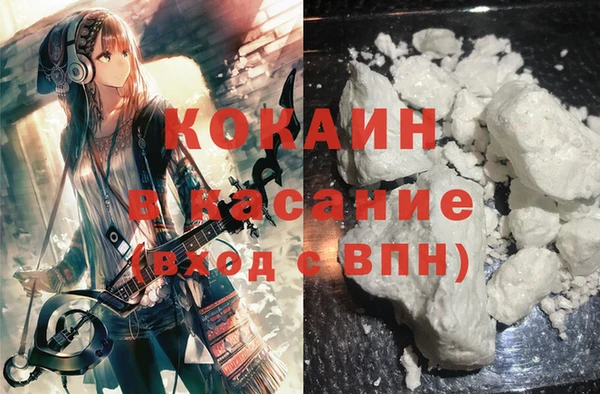 гидра Нея