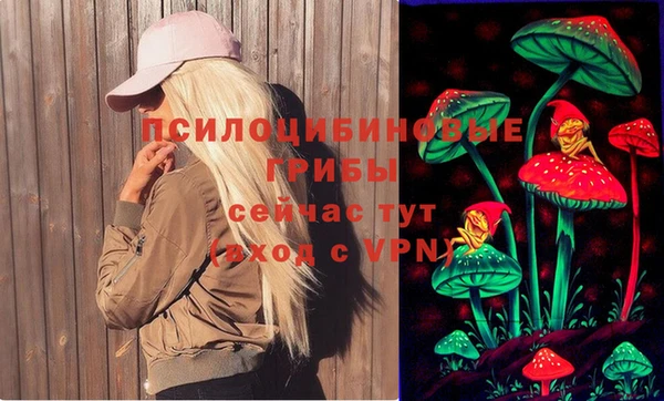 ПСИЛОЦИБИНОВЫЕ ГРИБЫ Яровое