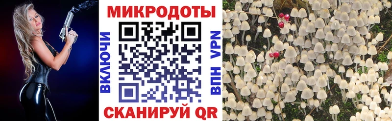 Псилоцибиновые грибы мухоморы  omg ONION  Нерехта 
